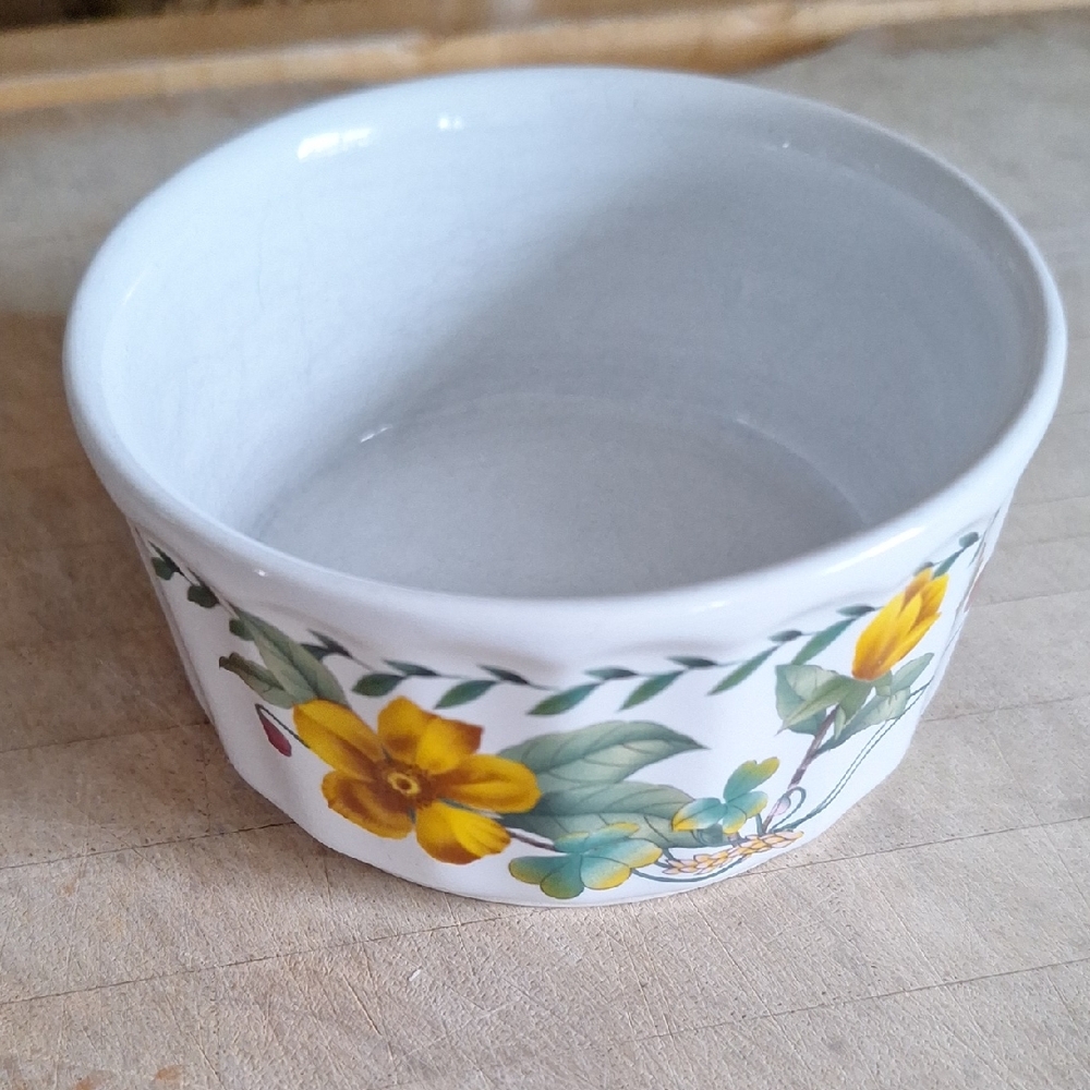 Mikasa Maxima Summer Symphony Bowl